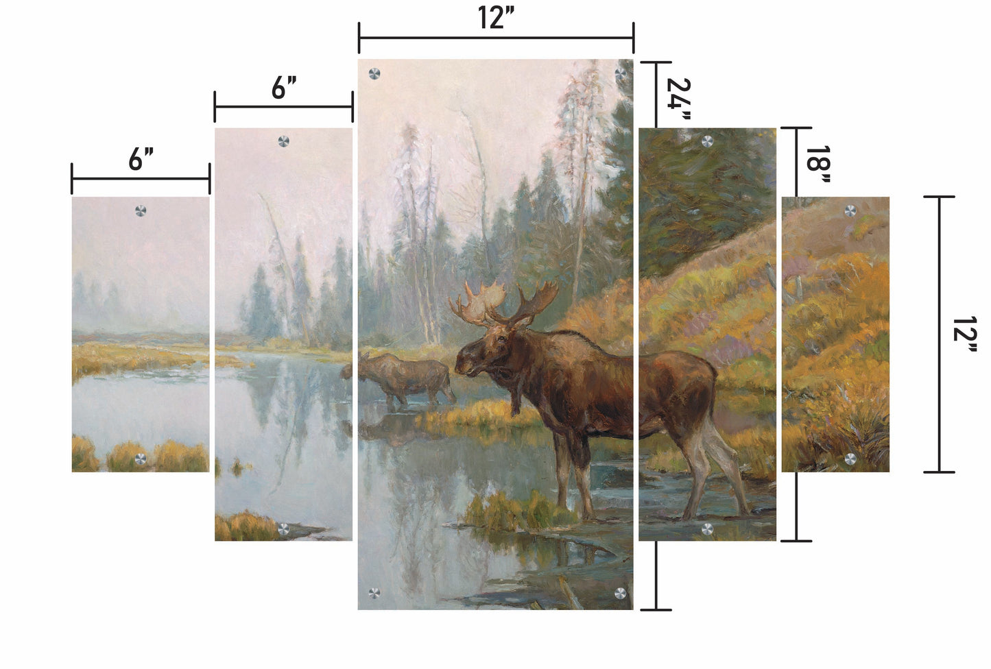 Autumn in Moose Country