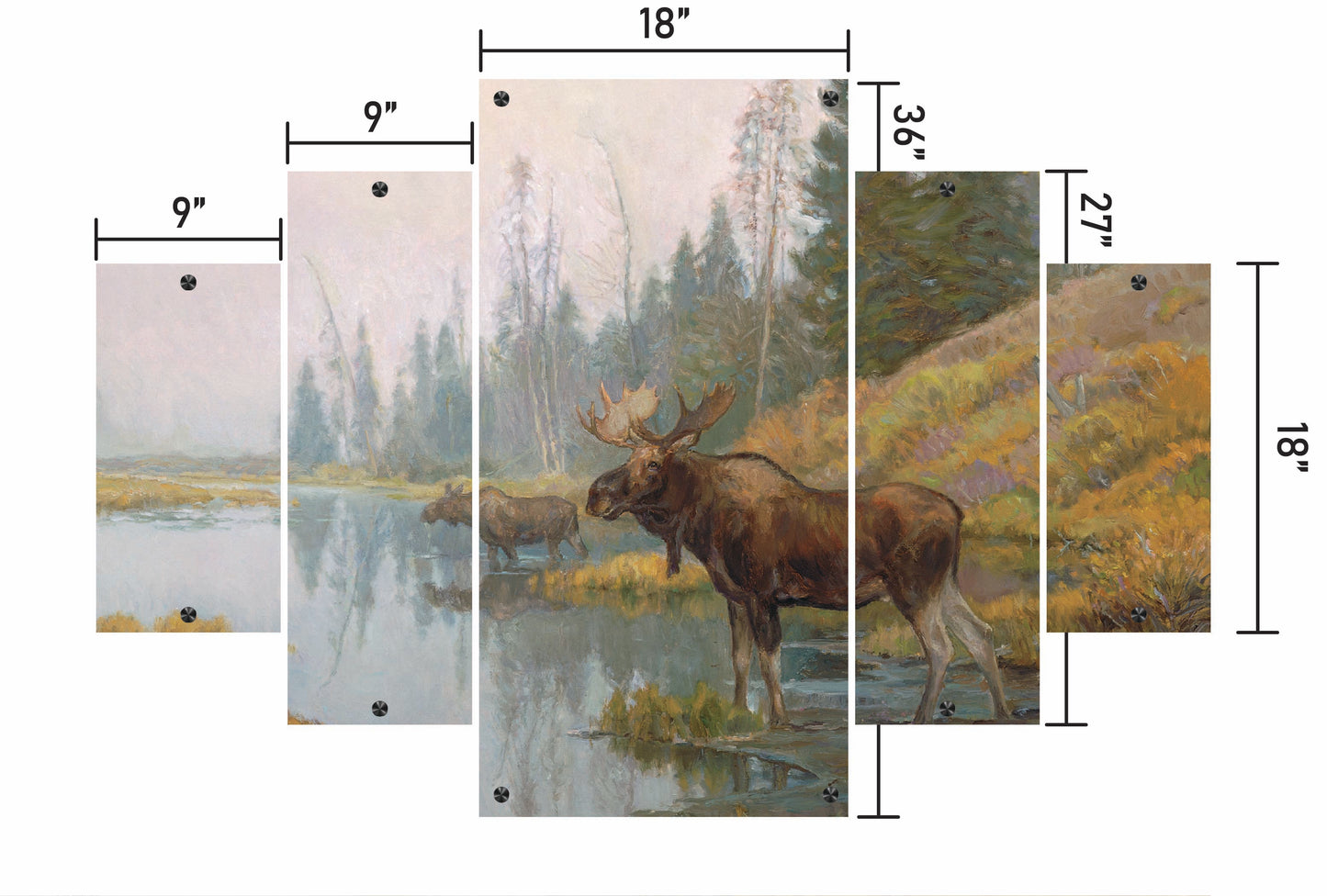 Autumn in Moose Country