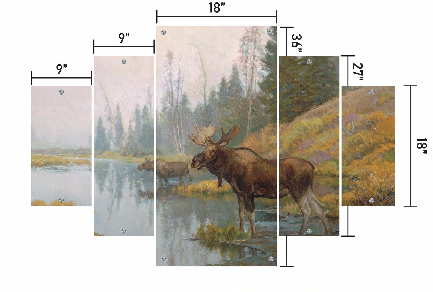 Autumn in Moose Country