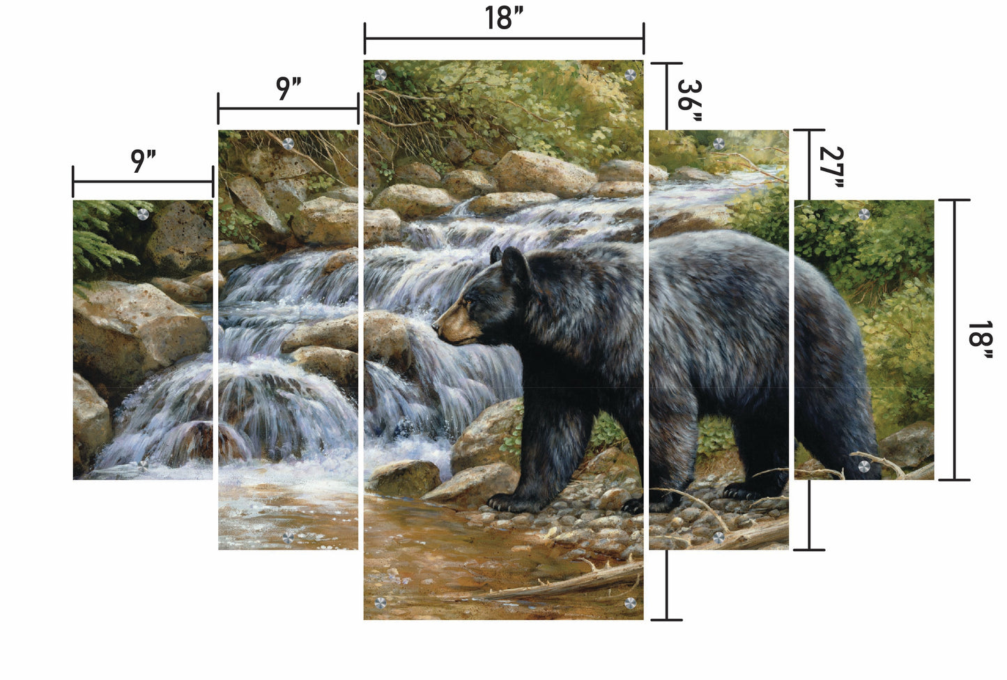 Shadow of the Forest