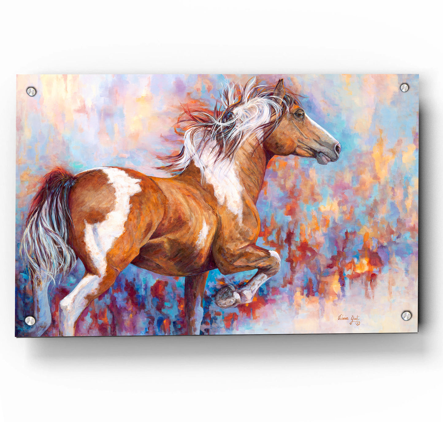 Paint Horse