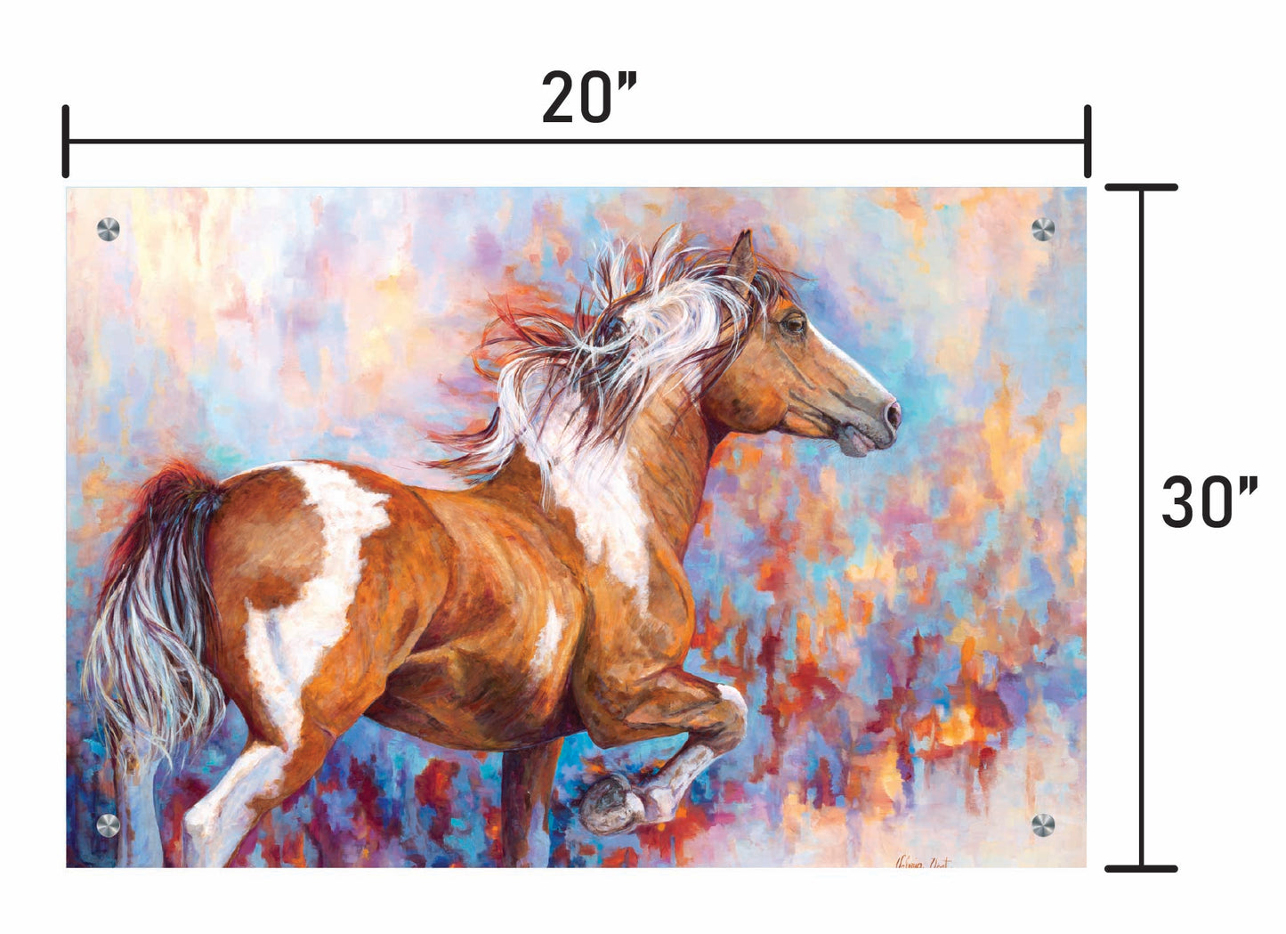 Paint Horse