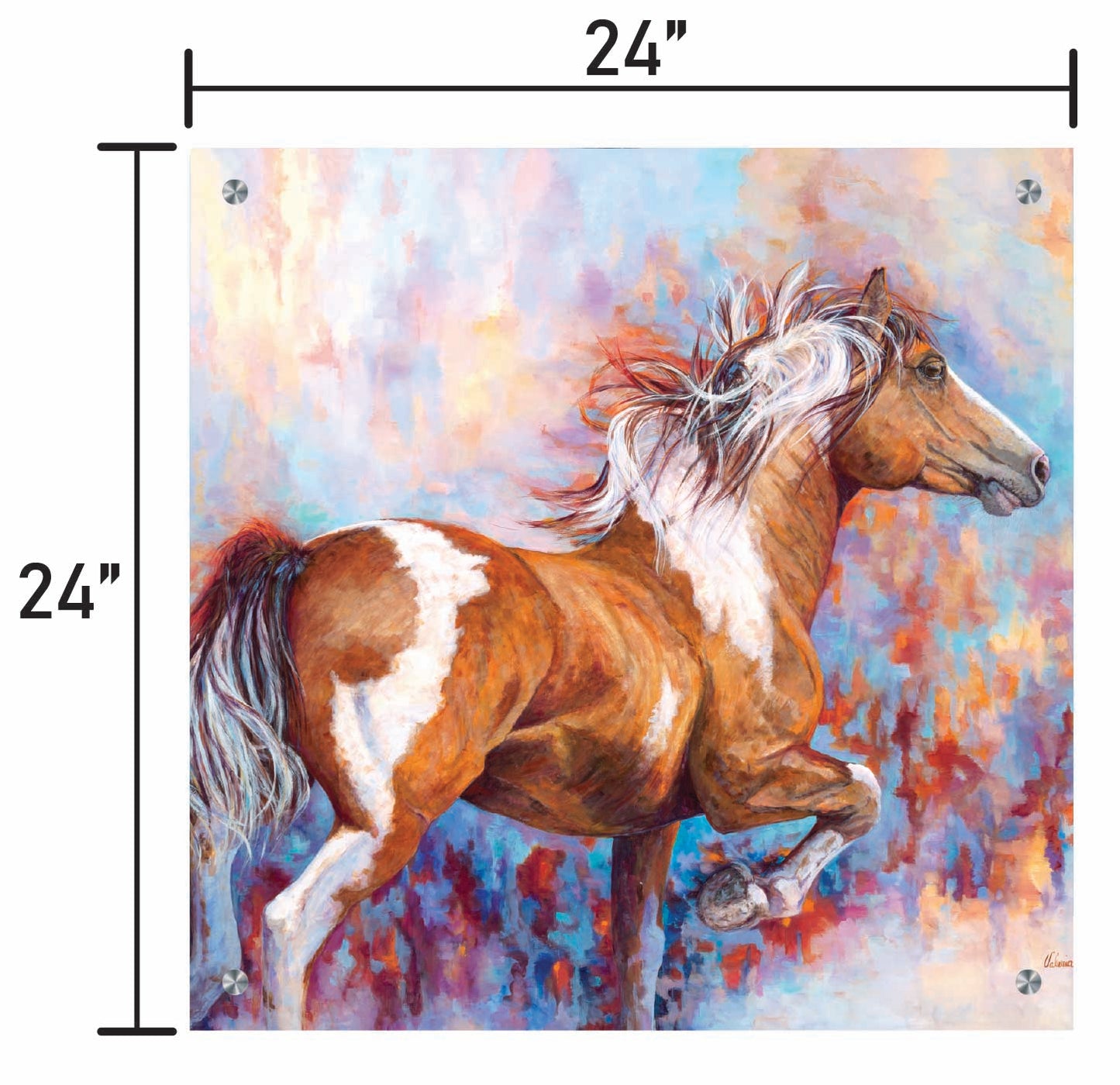 Paint Horse