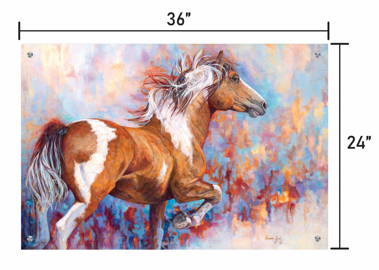 Paint Horse