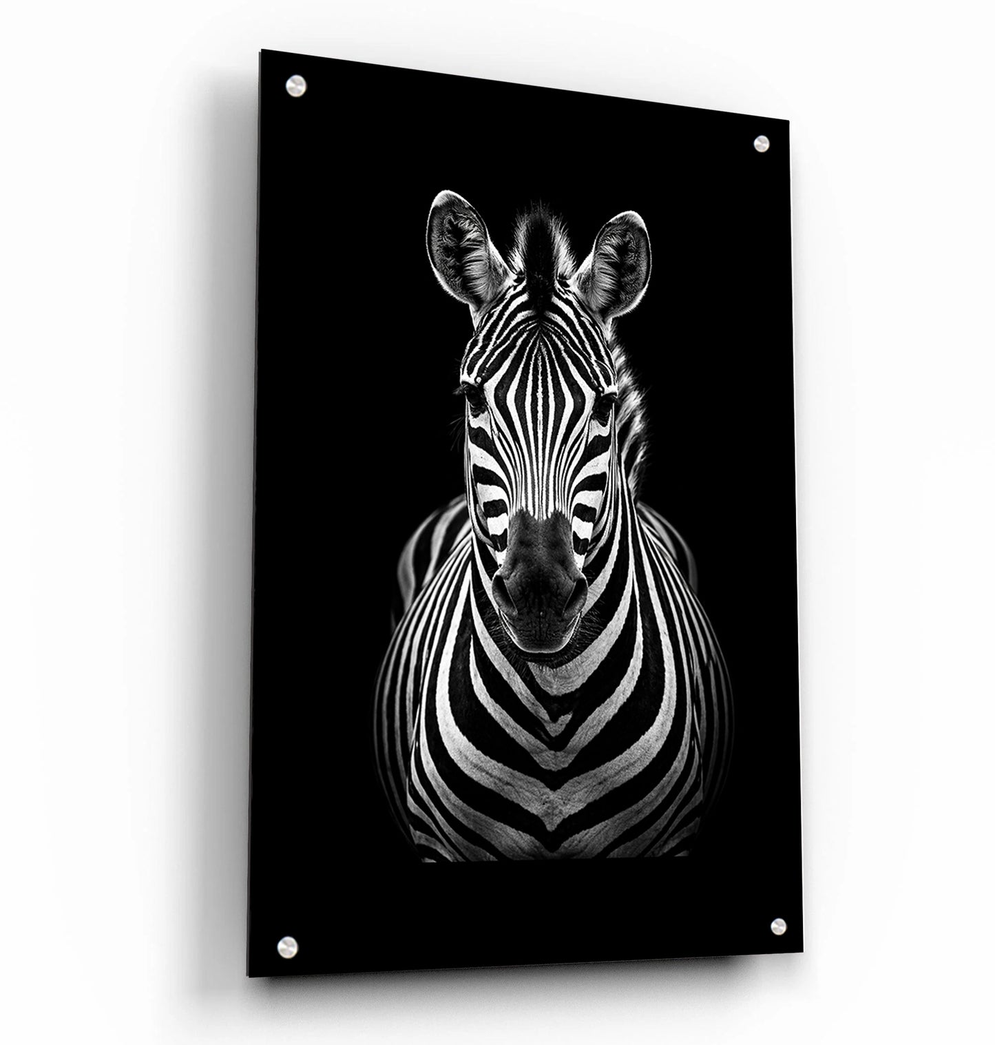 B&W Zebra