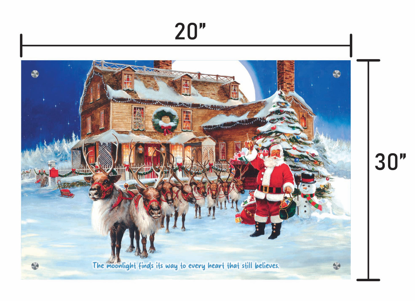 Santa's Moonlit Visit